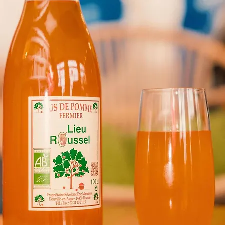 Ibis Styles Deauville 3*