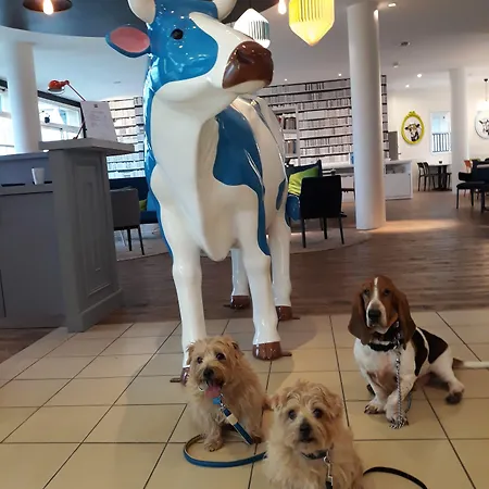 Ibis Styles Deauville Ξενοδοχείο 3*