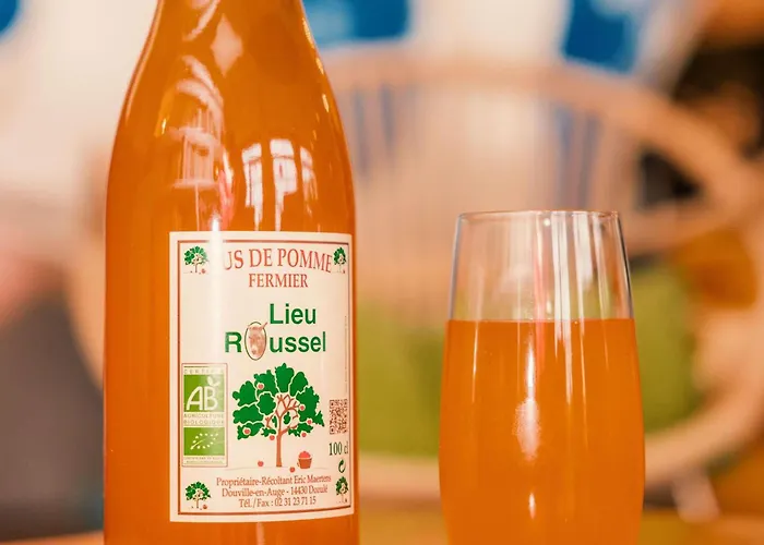 Ibis Styles Deauville 3*