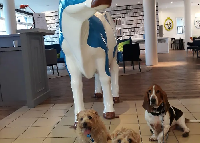 Ibis Styles Deauville Hotel 3*