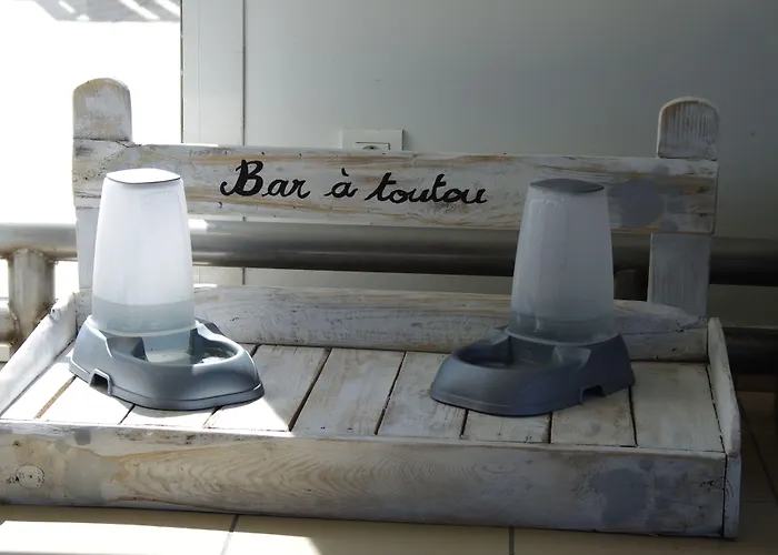 Ibis Styles Deauville 3*